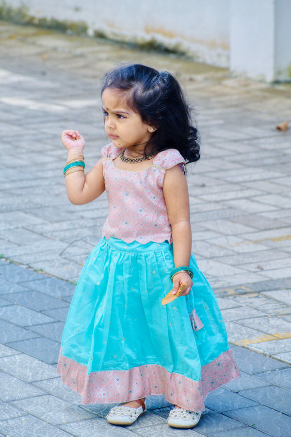 Srishti Pink with blue mini